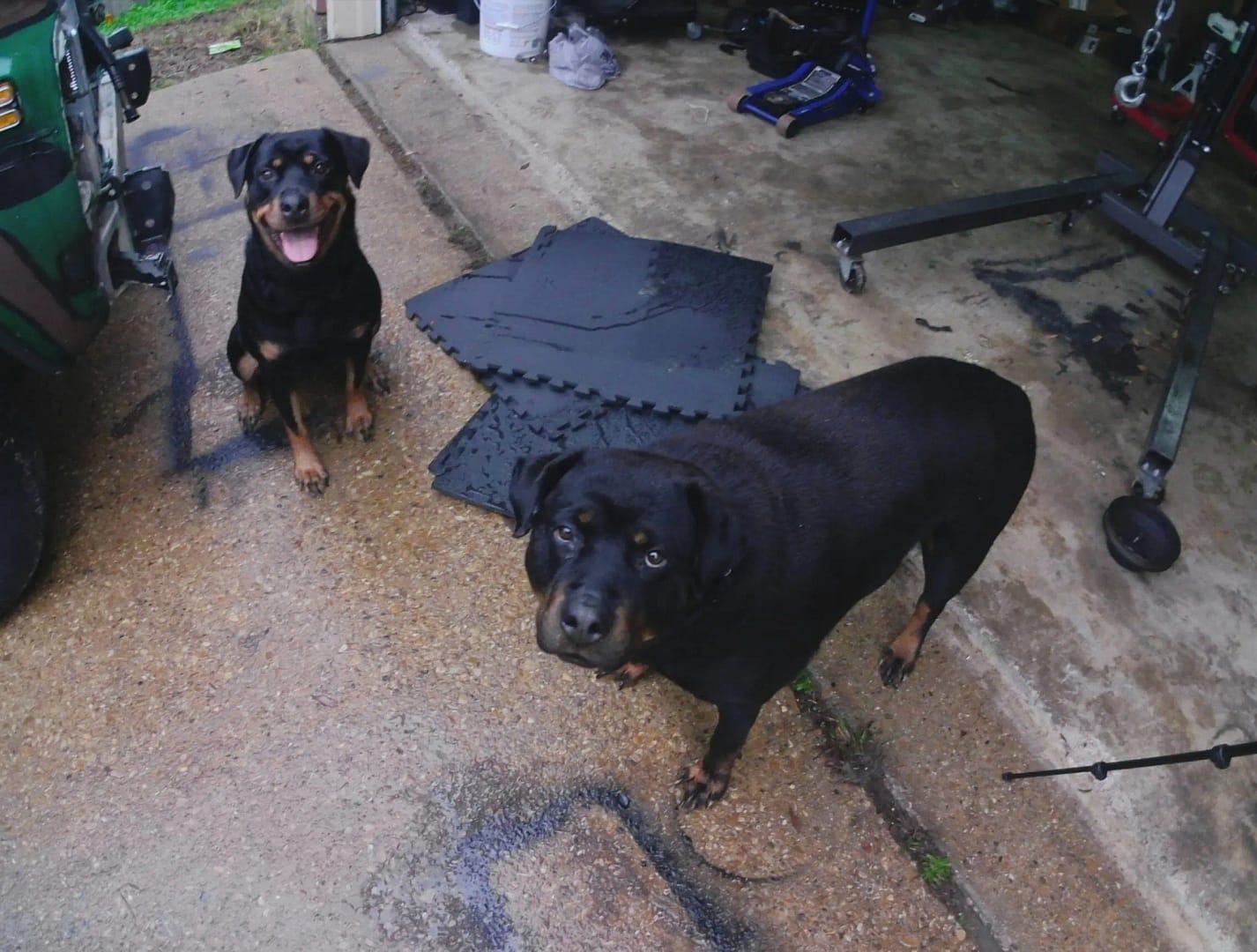 Petra and Sasha Petra and Sasha